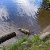 Bear Lake Campground ico