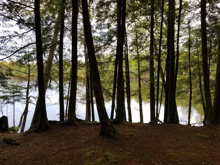 Laura Lake Campground Picture 6