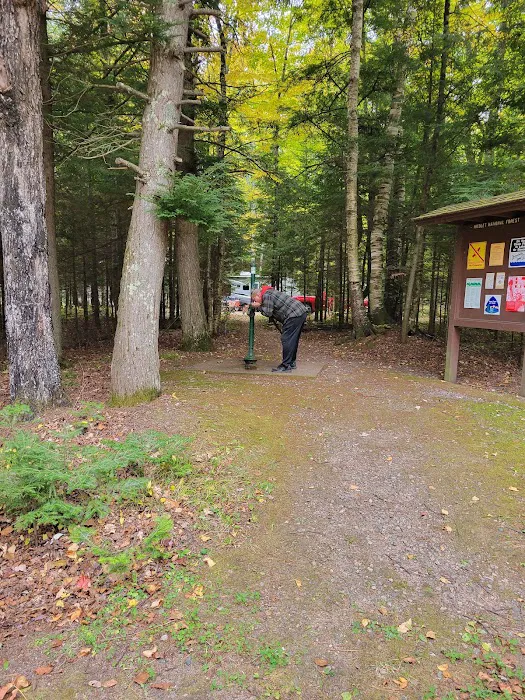 Laura Lake Campground Picture 9