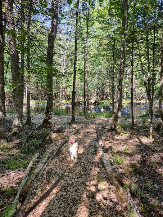 Trailside Hideaway LLC Picture 6