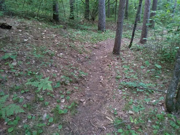 US Forest Service - Lakewood/Laona District Picture 7