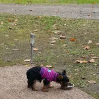 Maple Heights Campground ico