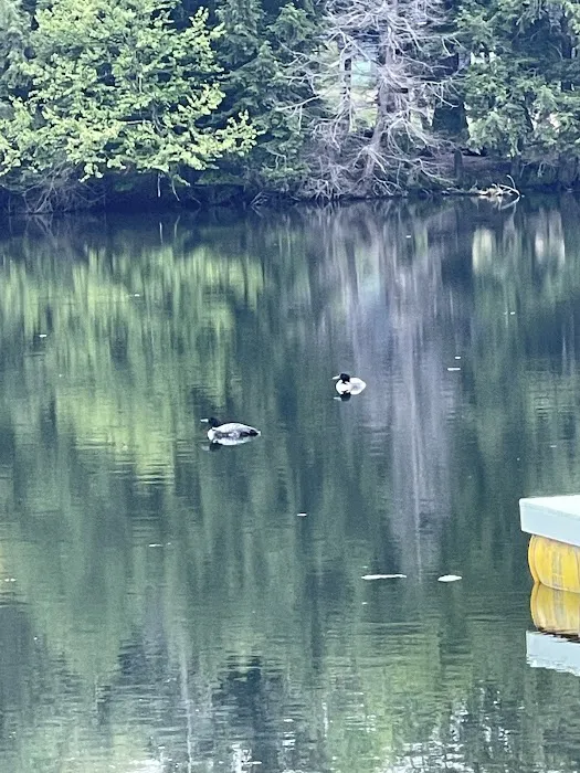 Ham Lake Campground Picture 10