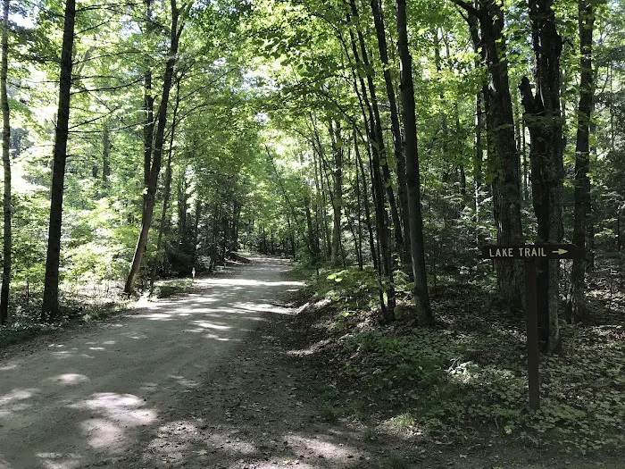 Richardson Lake Campground Picture 4