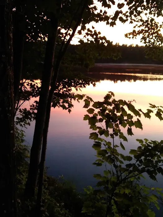Himley Lake Campsites Picture 2