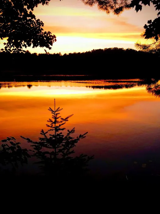 Himley Lake Campsites Picture 7