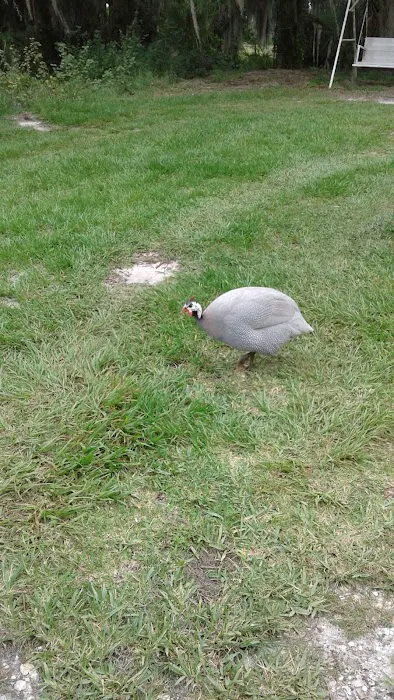 Mallard Mobile Home Park Picture 10