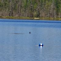 Morgan Lake Campground ico
