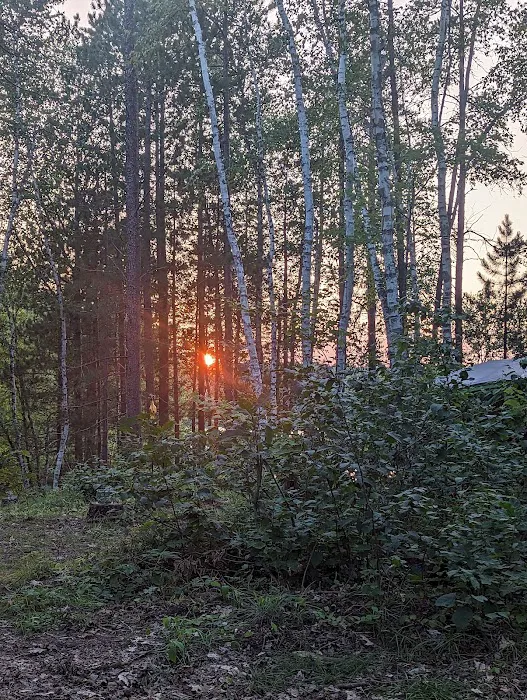 Morgan Lake Campground Picture 5