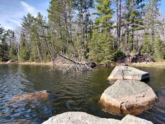 Morgan Lake Campground Picture 10
