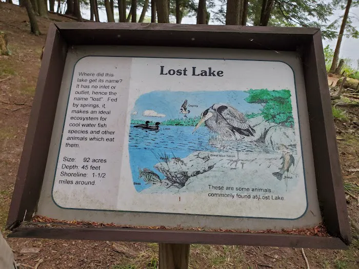 Lost Lake Cabins Picture 6