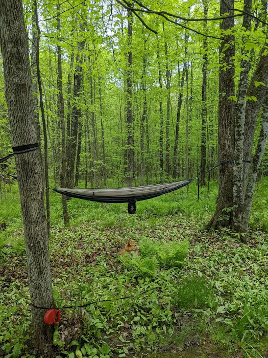 Lost Lake Cabins Picture 9