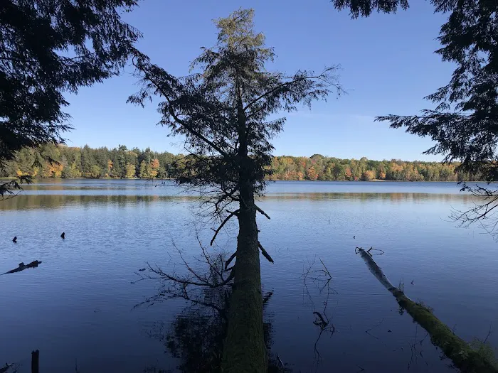 Lost Lake Cabins Picture 8