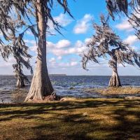 Cypress Isle RV Park & Marina ico