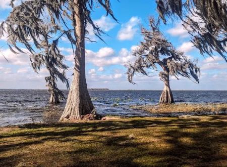 Cypress Isle RV Park & Marina
