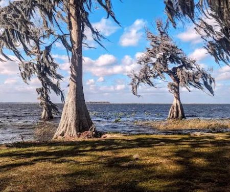 Cypress Isle RV Park & Marina