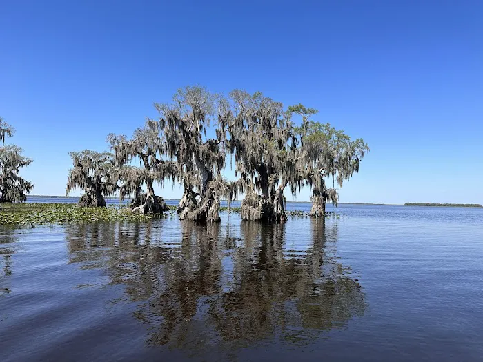 Cypress Isle RV Park & Marina Picture 3