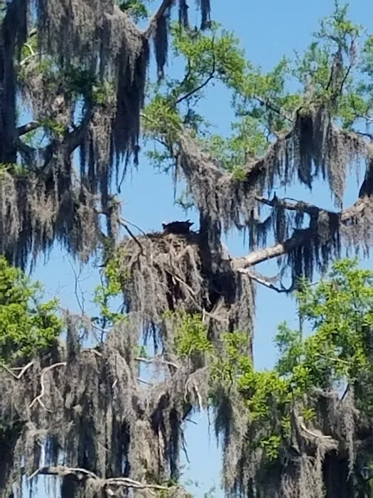 Cypress Isle RV Park & Marina Picture 6