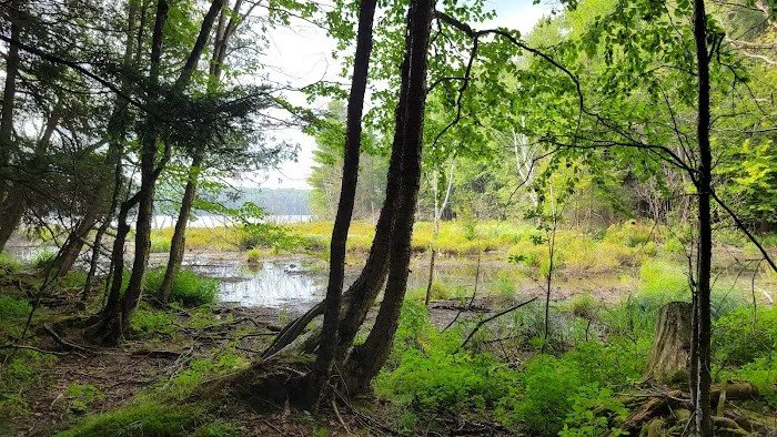 Lost Lake Campground Picture 4
