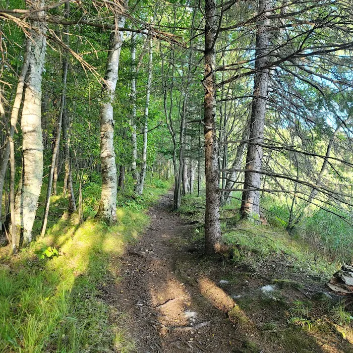 Lost Lake Campground Picture 9