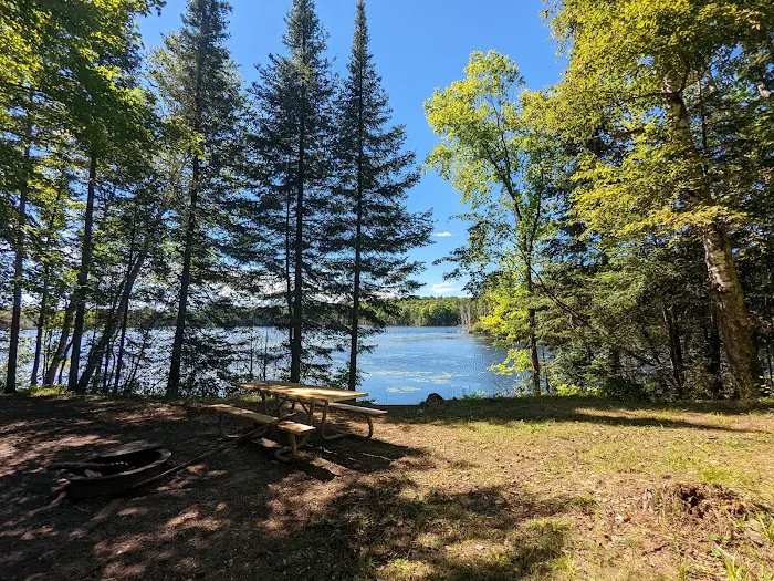 Perch Lake Campground Picture 2