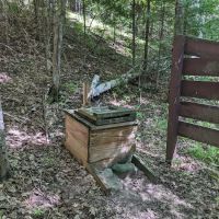 Perch Lake Campground ico