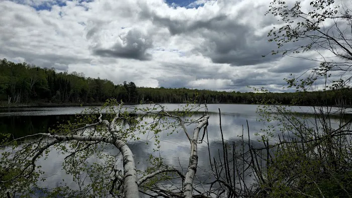 Perch Lake Campground Picture 10