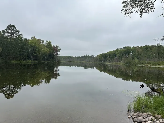 Horseshoe Lake State Forest Campground Picture 2