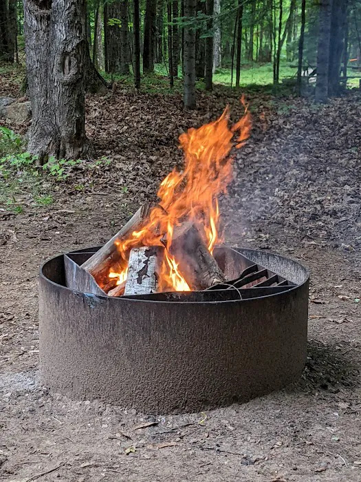 Ski-kwe zaag'igan (Squaw Lake) State Forest Campground Picture 4