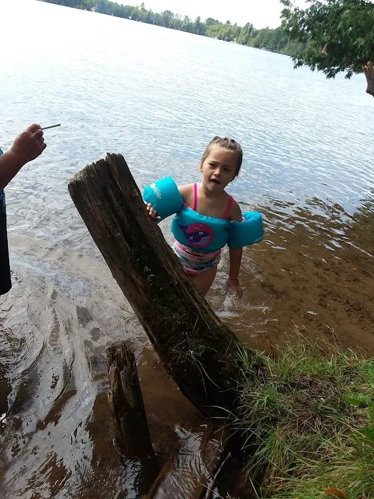 Bass Lake State Forest Campground Picture 7