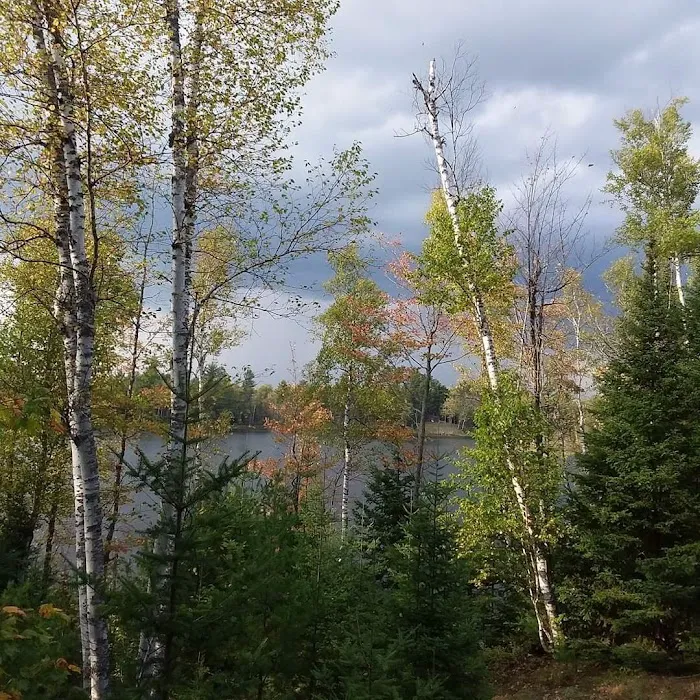 Bass Lake State Forest Campground Picture 9
