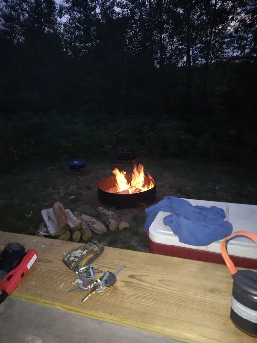 Challancin Landing Campground Picture 1