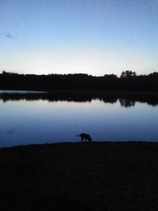 Gibson Lake Park & Campgrounds Picture 1