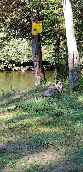 Block House Campground Picture 10