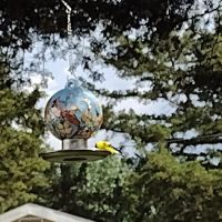 Hillbilly's Campground ico