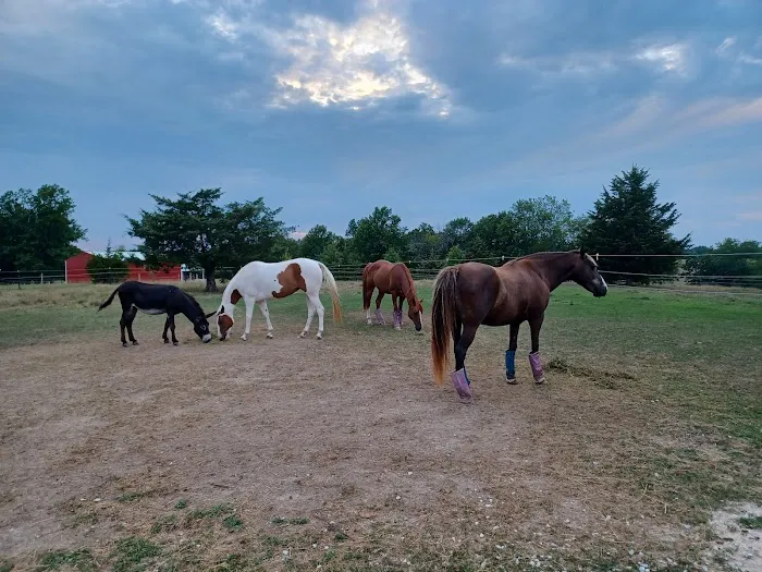Double Hearts Ranch Picture 1