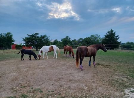 Double Hearts Ranch