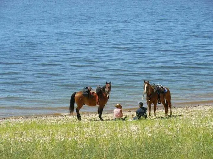 V.P. Lone Star Campground Picture 1