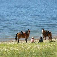 V.P. Lone Star Campground ico