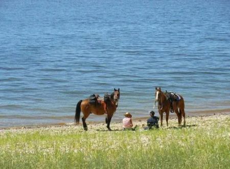 V.P. Lone Star Campground