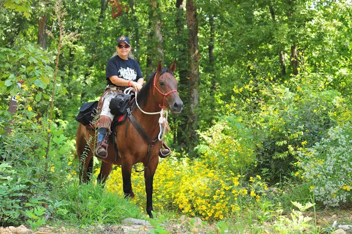 V.P. Lone Star Campground Picture 4