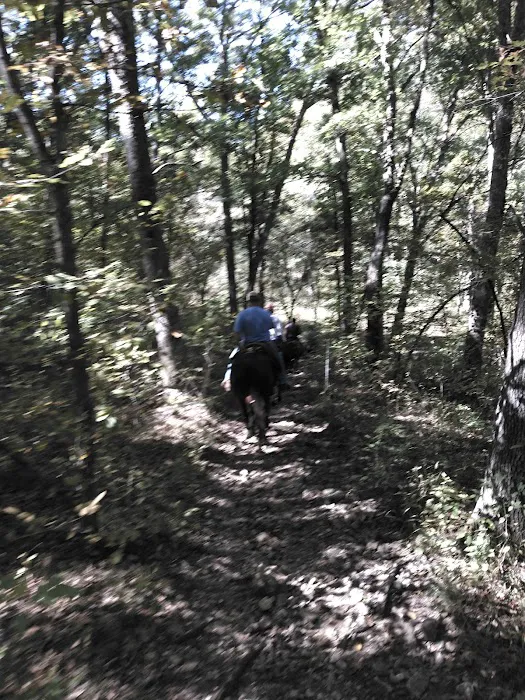 V.P. Lone Star Campground Picture 5