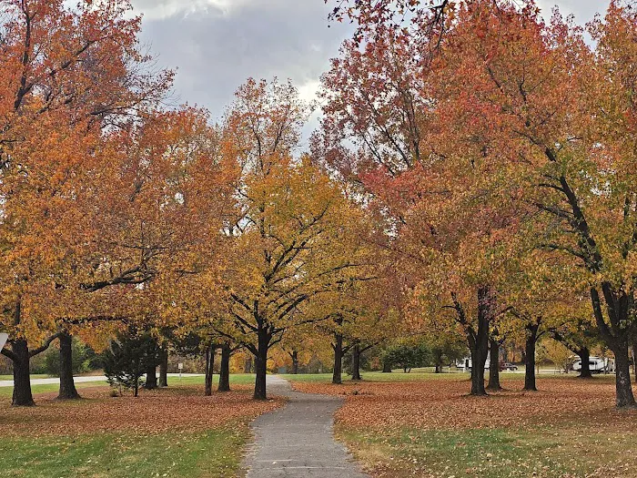 Pere Marquette Campground Picture 6