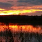Covenant Cove RV Resort