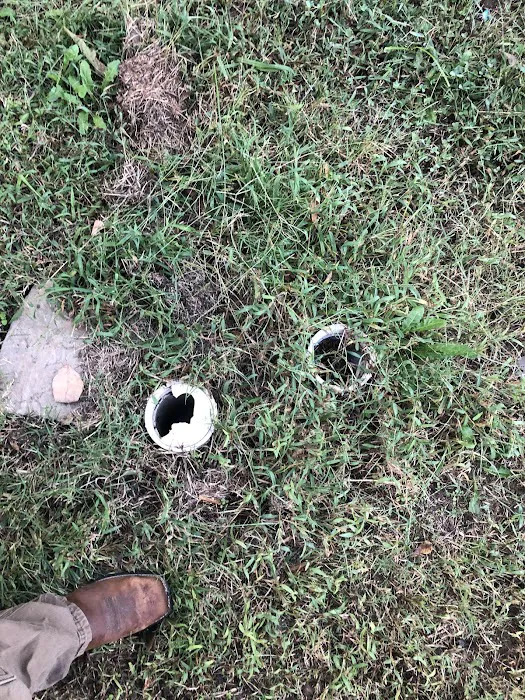 Oak Tree RV & MHP Parks Picture 6