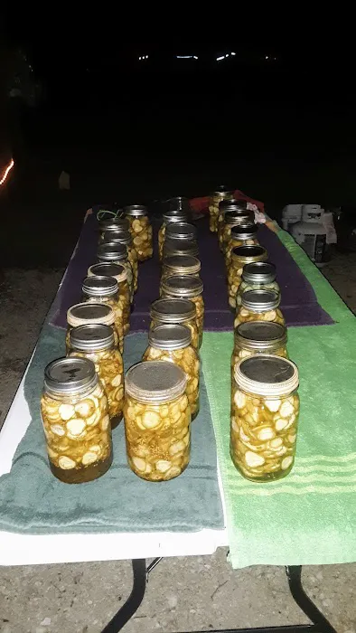 Carlyle Village Campground Picture 9