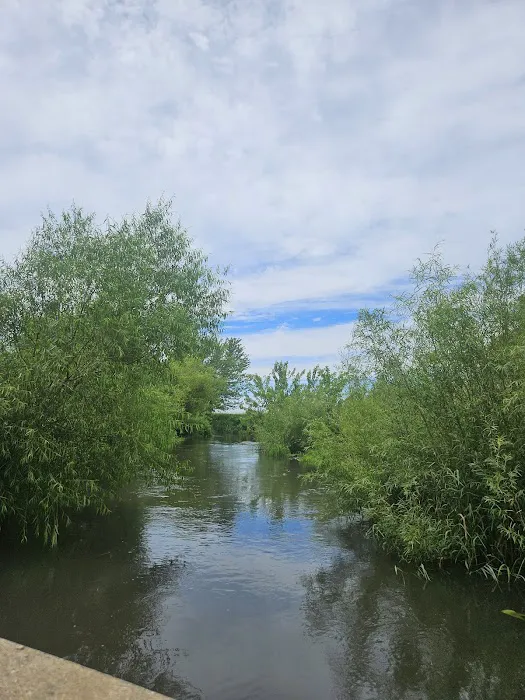 Grundy County Lake Campground Picture 5
