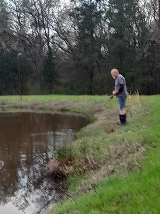 Two Frogs RV Park Picture 4
