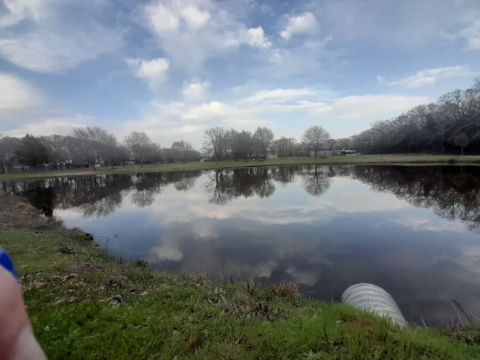 Two Frogs RV Park Picture 5