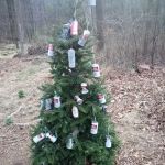 Cushon's Peak Campground
